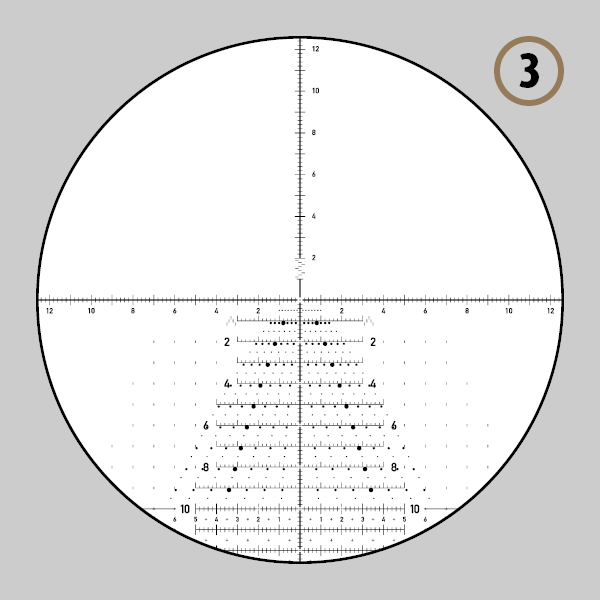 Reticolo TREMOR5