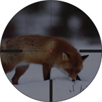 With a common riflescope